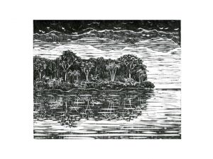 A obra Floresta Tropical, de Daniel Chang Yuan, é uma xilogravura, ou seja, sua matriz é feita de madeira. A imagem é um quadro em preto e branco de uma paisagem, onde há um trecho de terra com uma floresta densa, repleta de árvores e vegetação em contato com a água, que pode ser tanto de um rio como do mar. A imagem da floresta é refeltida num espelho dágua, faz com que haja uma espécie de simetria nesta região do quadro. Atrás da floresta há camadas de linhas que remetem a um conjunto de montanhas, e quanto mais vai chegando na parte superior do quadro, o céu se torna escuro. 