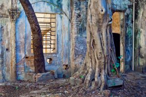 A obra de Mariana Meloni Vieira Botti se chama Território Ausente e é um conjunto de três fotografias. A primeira fotografia é um retângulo horizontal que mostra a parede da frente de uma casa muito antiga e deteriorada, com cores que variam entre o cinza, o azul claro, o verde e partes com tijolos aparentes. A parede tem uma entrada à direita e uma janela com a armação de metal, mas sem os vidros mais à esquerda. Há uma arvore de tronco fino de cor marrom escuro à frente da janela. Há outra árvore mais afastada da casa e quase ao centro da imagem com tronco mais grosso de cor cinza claro. O chão mistura concreto e terra. A segunda fotografia é um retângulo horizontal que mostra uma parede gasta, com uma parte revestida com concreto liso, outra com tijolos aparentes. Há uma janela de moldura verde aberta pela metade no lado esquerdo. Acima da janela, há uma grade quadricular, com alguns quadrados preenchidos por vidros. No lado direito, há uma escada de madeira vista de lado, com degraus quebrados, que vai até um segundo andar da casa. A terceira fotografia é um retângulo vertical que mostra uma parede com tijolos aparentes com uma porta verde entreaberta no lado direito da imagem. Do lado esquerdo há uma estátua presa à parede de uma mulher, vista de lado, que usa um vestido. 